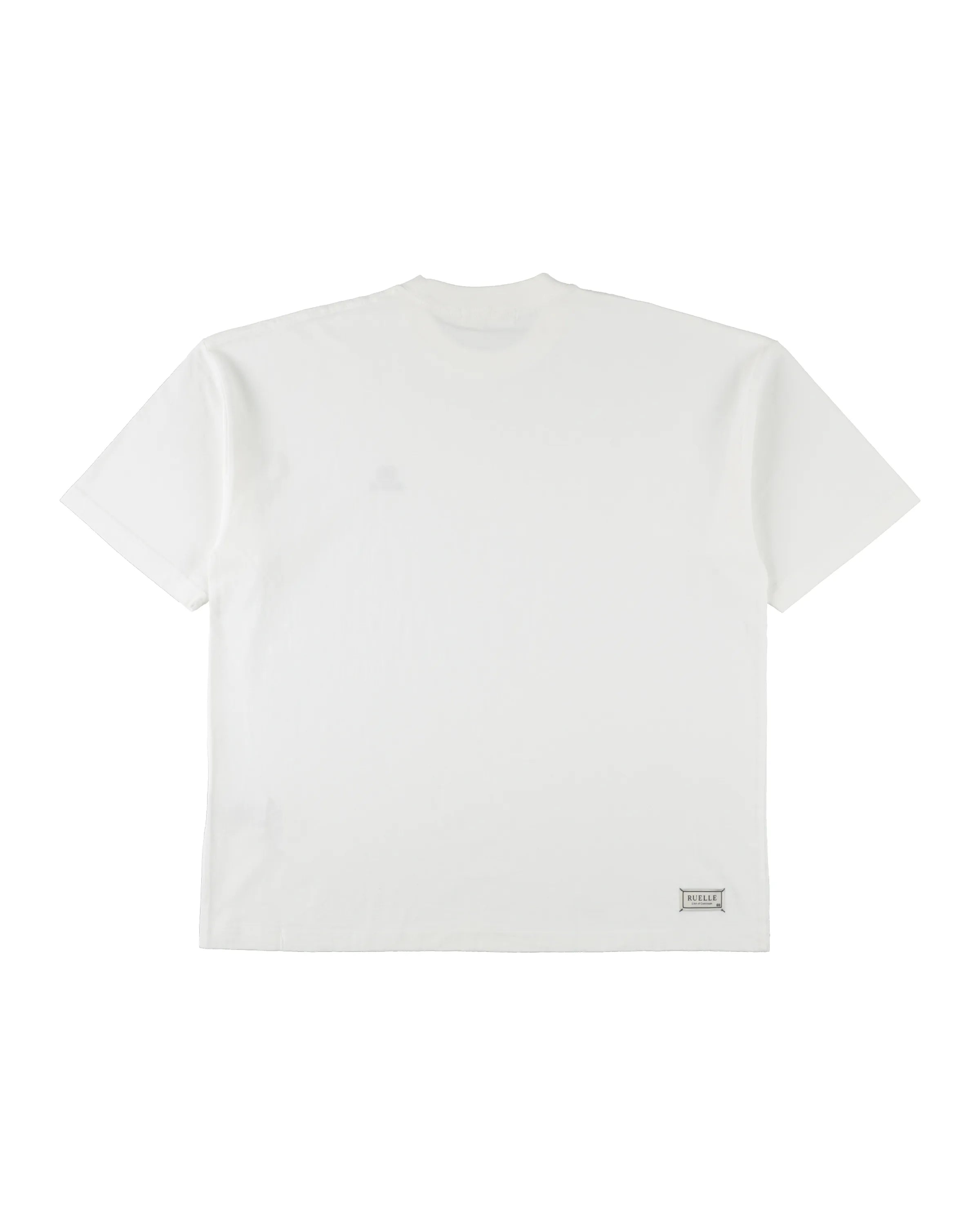 Hazed Pigment Oversized T-shirt-5